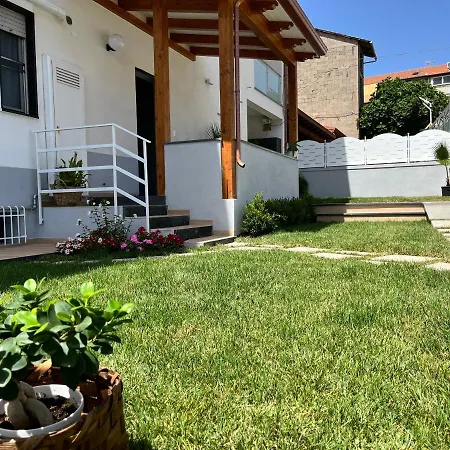 Dreams * 아제롤라