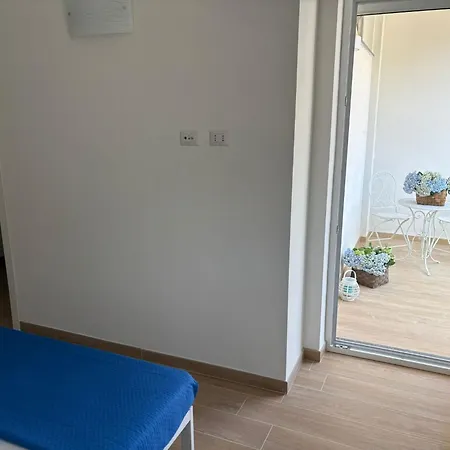 Dreams * 아제롤라