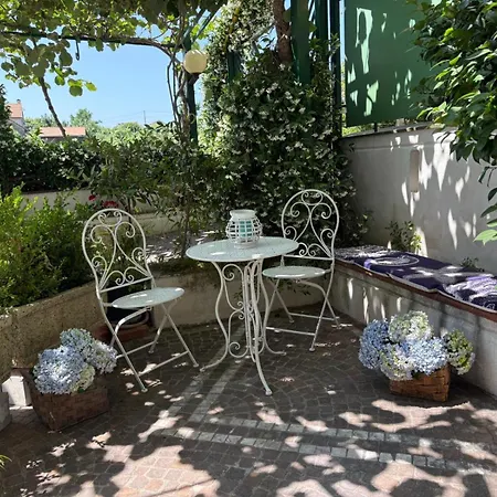 Dreams * 아제롤라