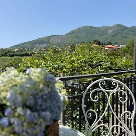 Apartment Dreams Agerola